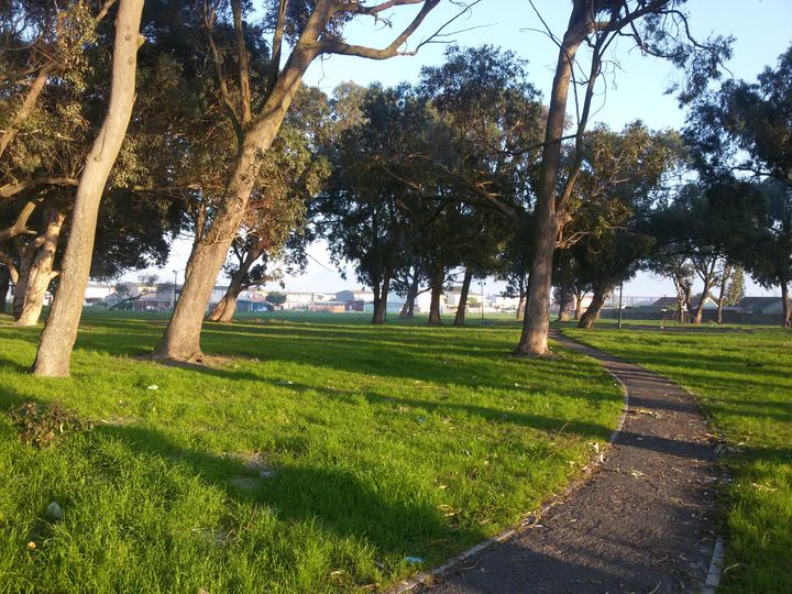 37023997 1327164007386571 7745313716870053888 N